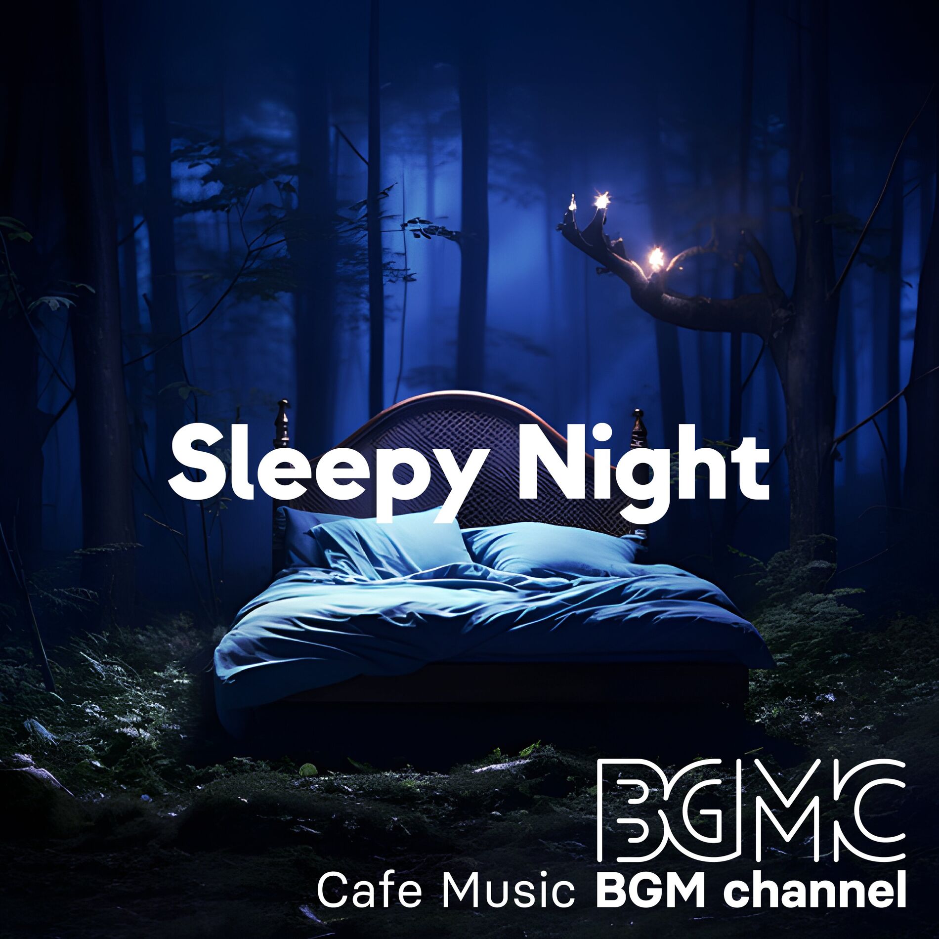 Album cover of Sleepy Night