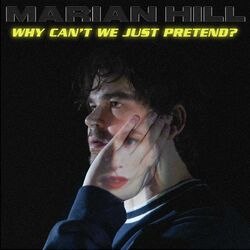 Cover of why can't we just pretend?