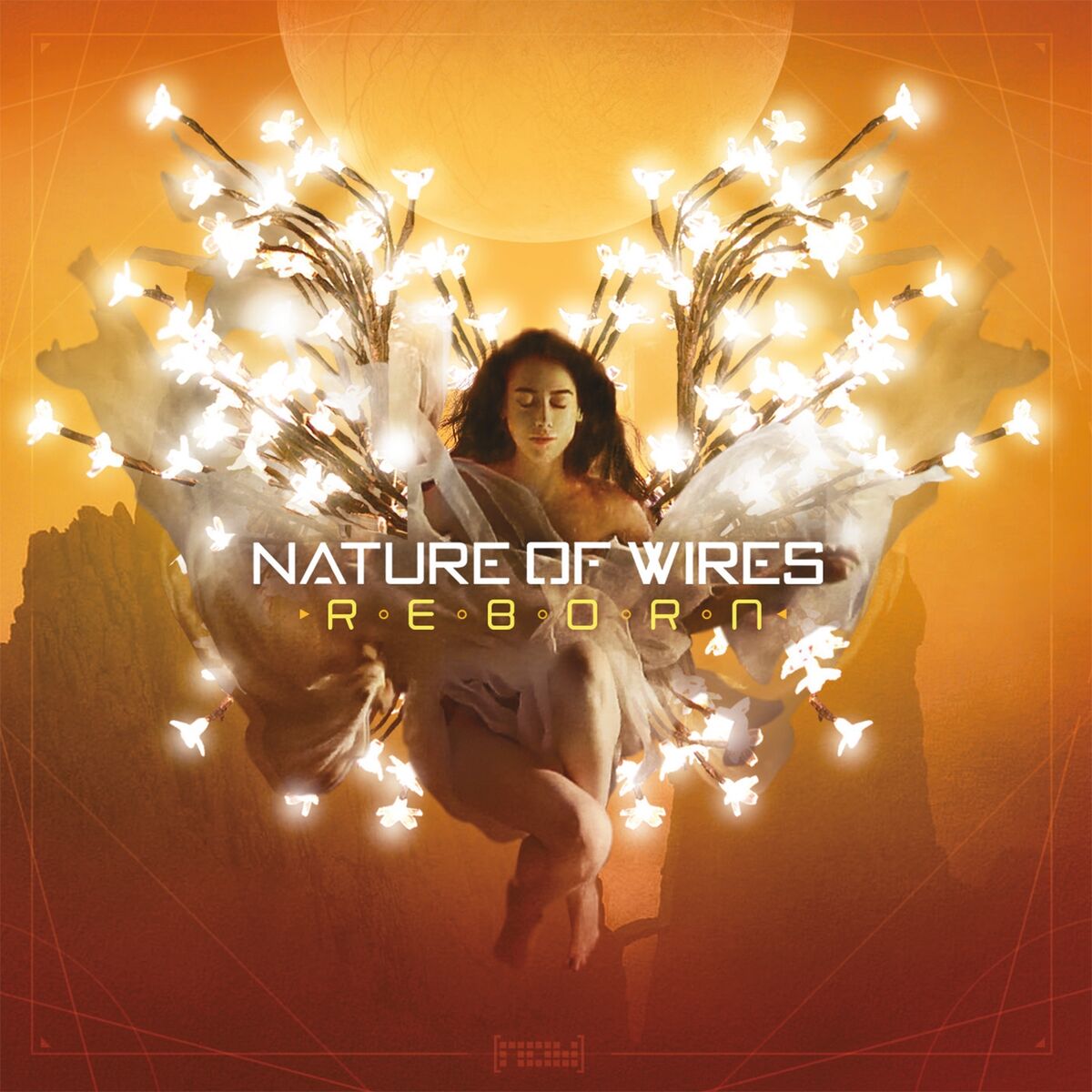 Album cover of Reborn