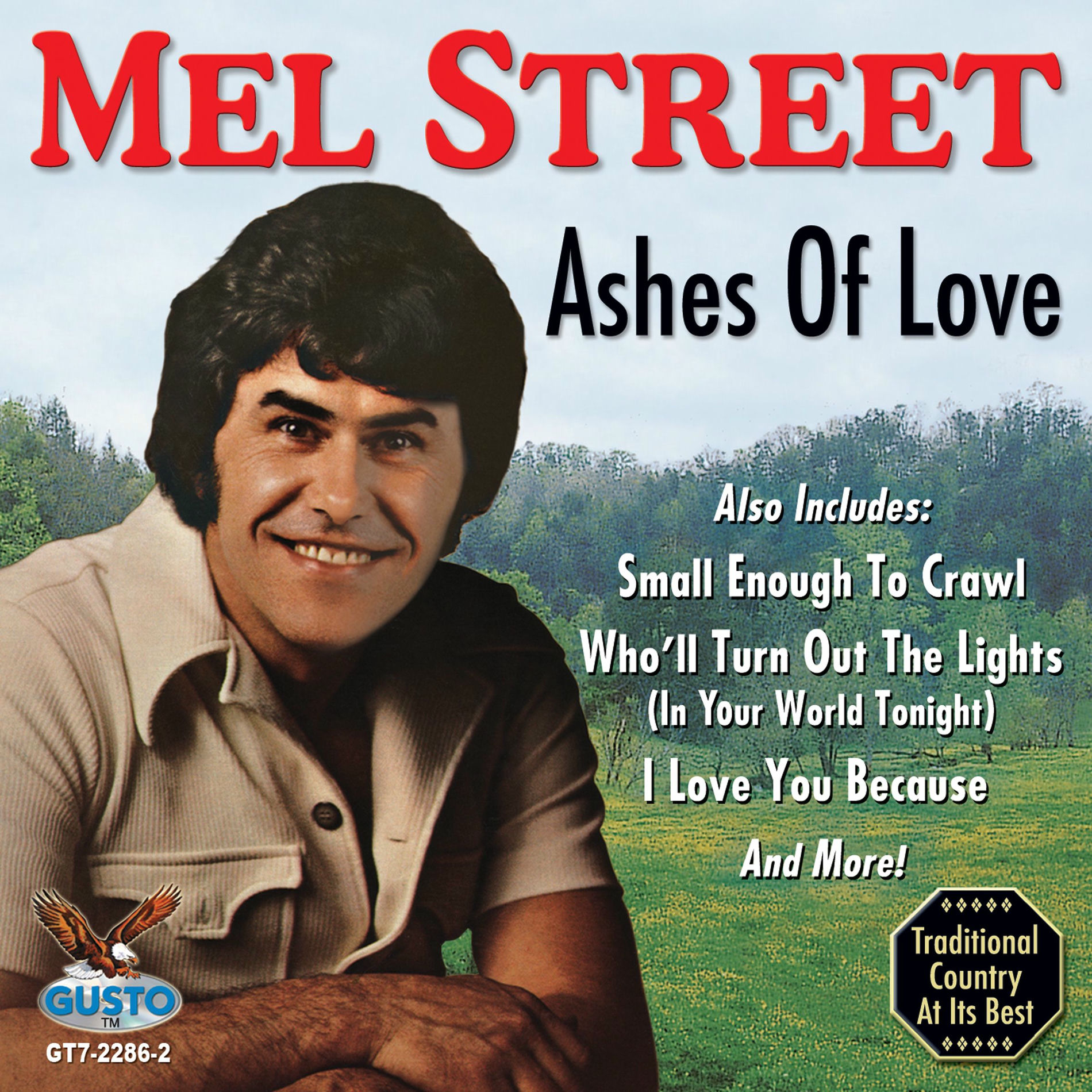Album cover of Who’ll Turn Out The The Lights (In Your World Tonight)