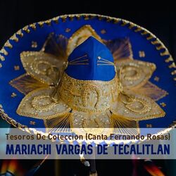 Cover of Tesoros de Colección (Canta Fernando Rosas)