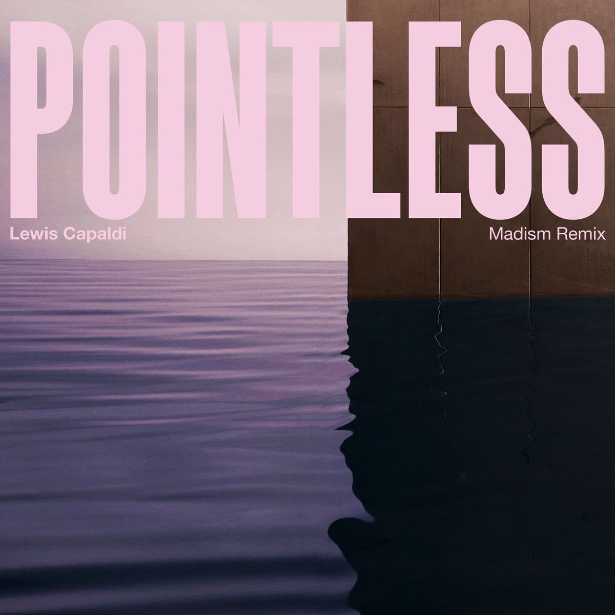 Album cover of Pointless