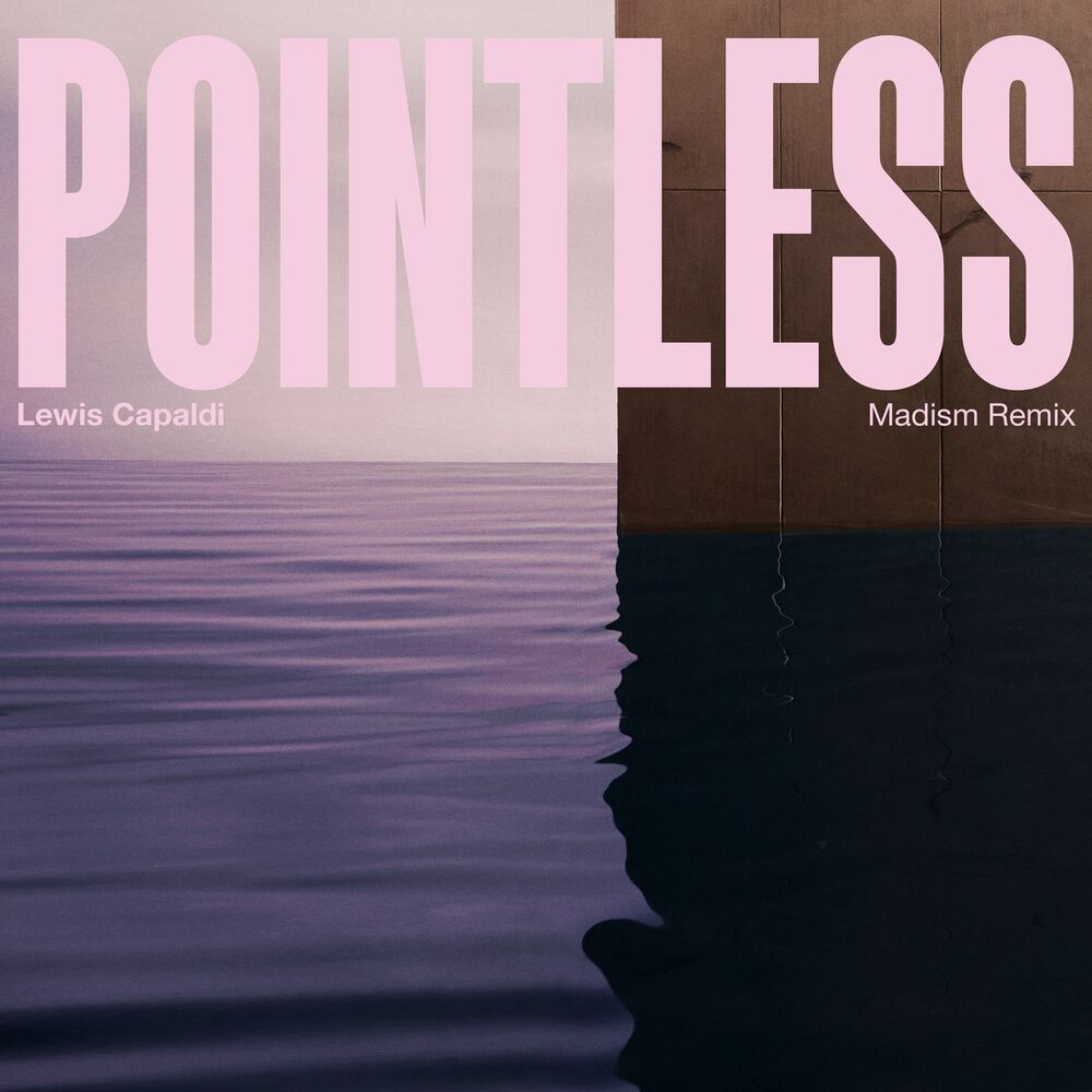 Picture of Pointless (Madism Remix)