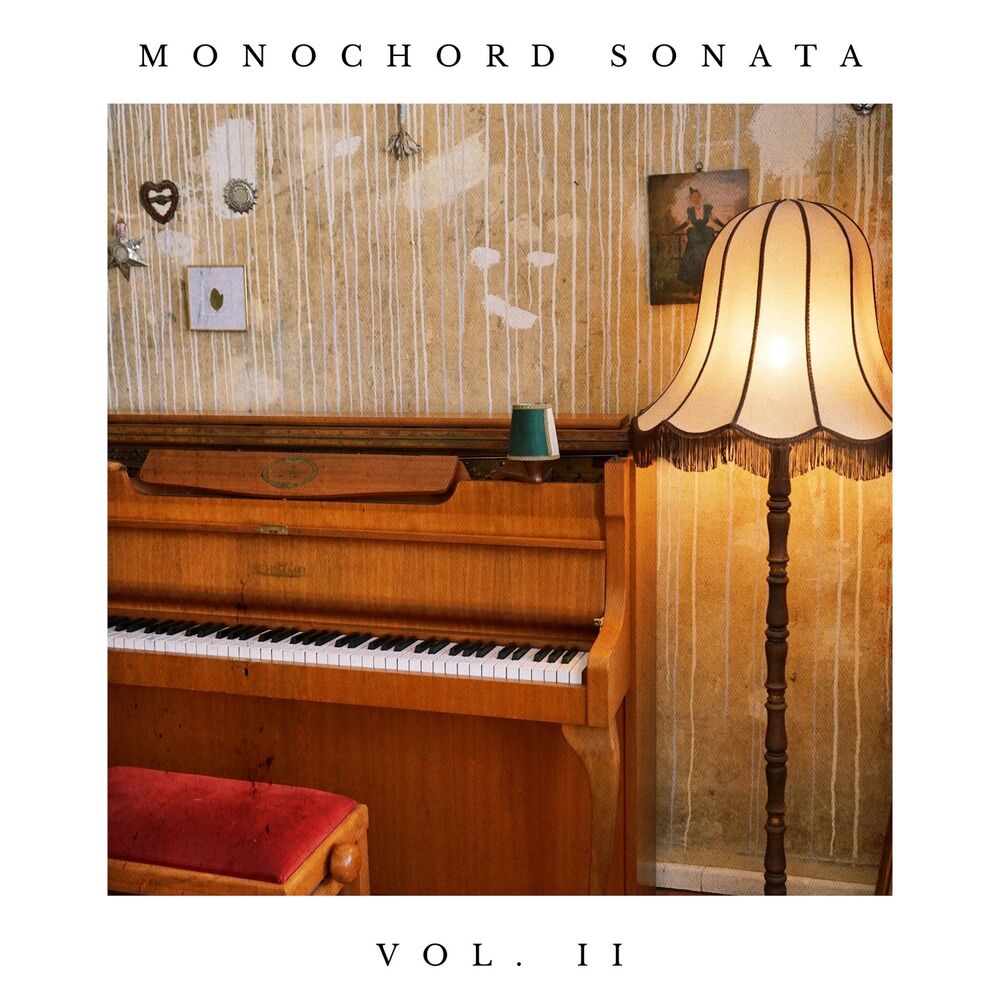 Picture of Monochord Sonata, Vol. 2