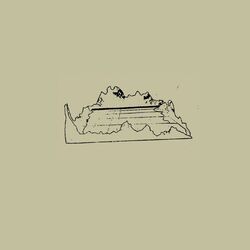 Cover of Veneer