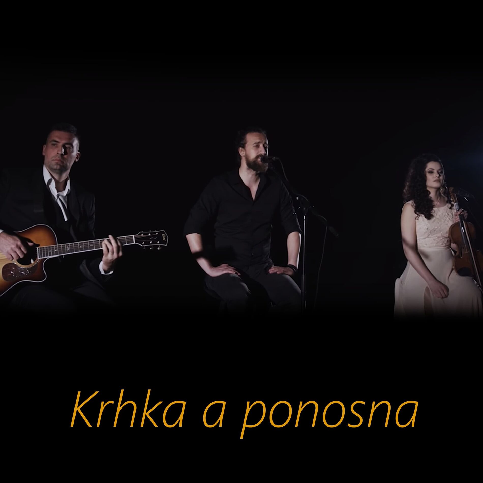 Album cover of Krhka A Ponosna