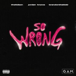 Cover of So Wrong
