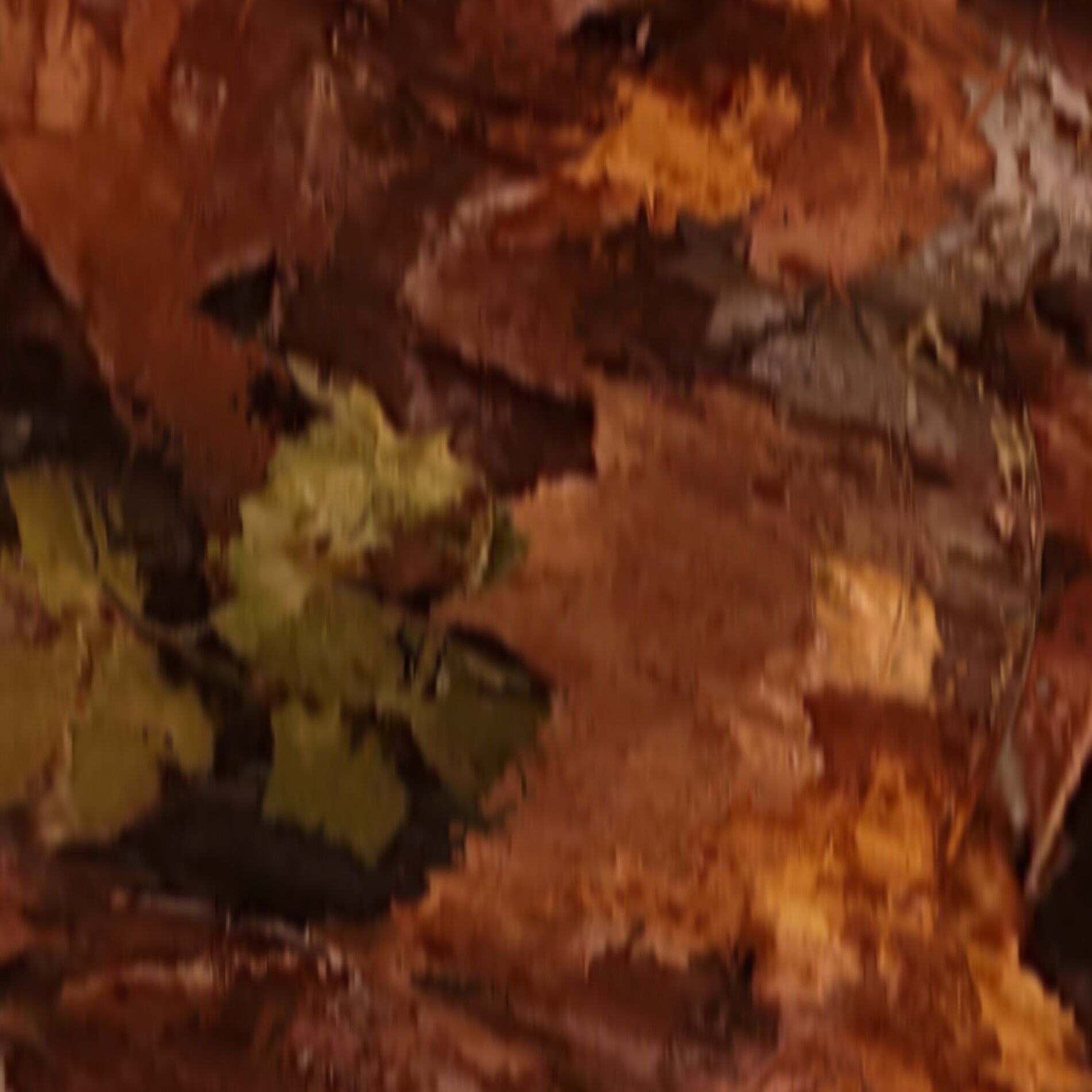 Album cover of comfort