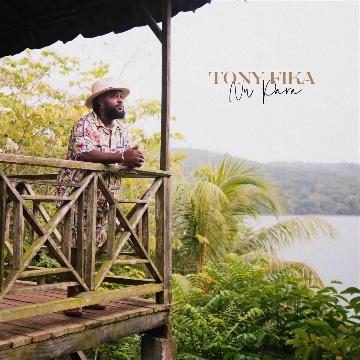 Album cover of Nu Pára