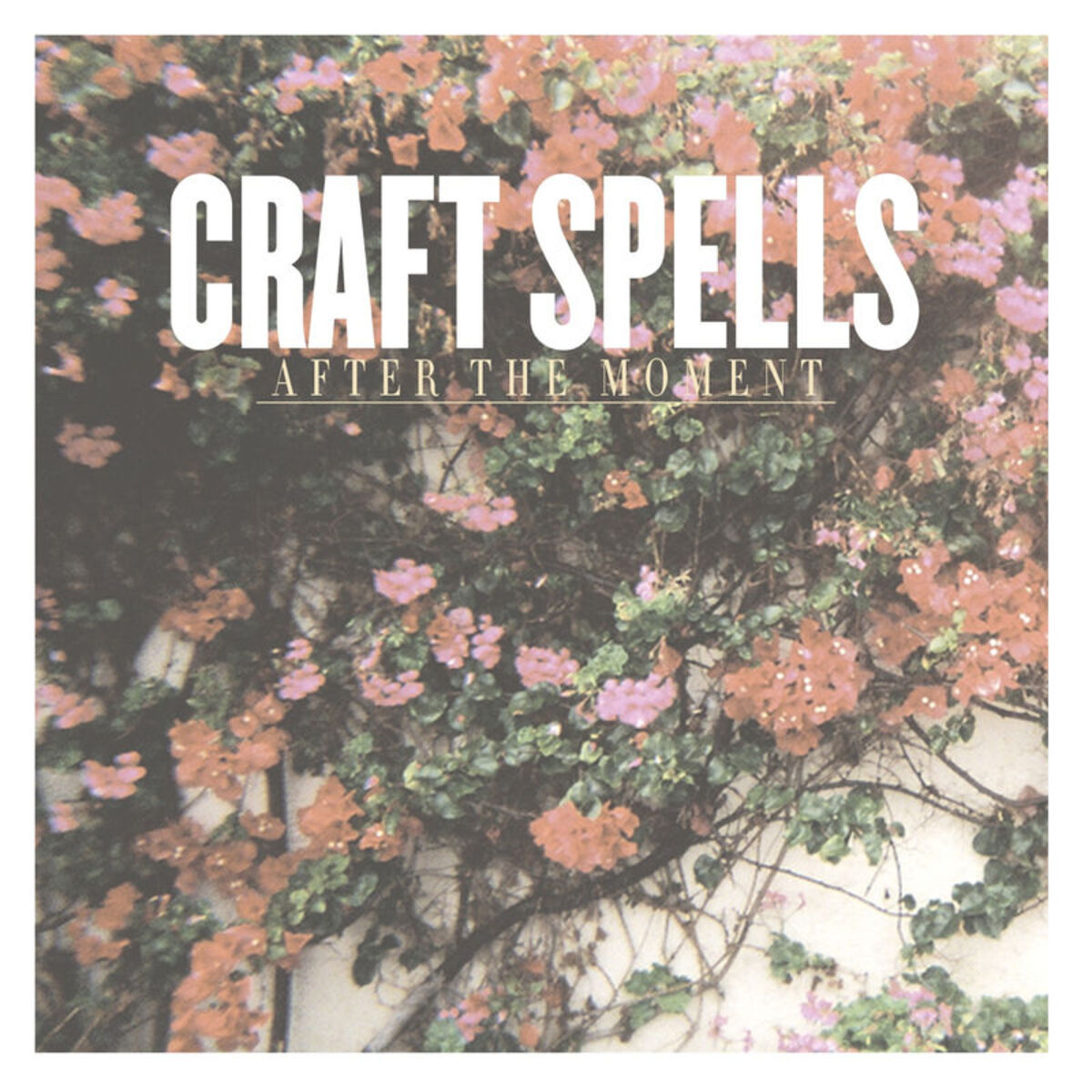 Album cover of After the Moment