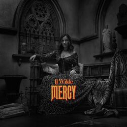Cover of Mercy