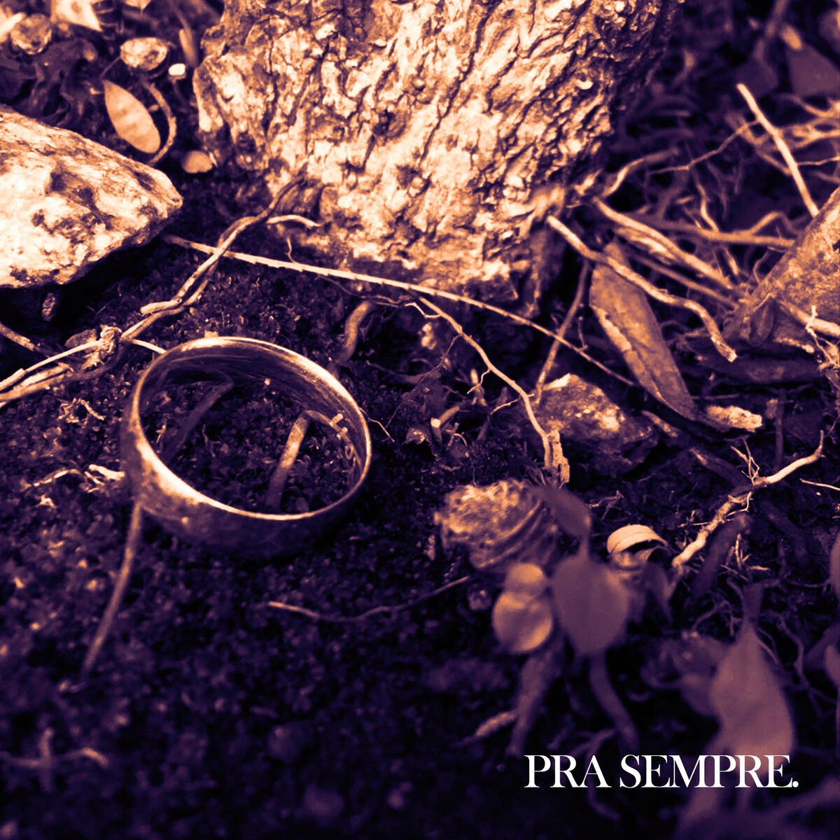 Album cover of Pra Sempre.