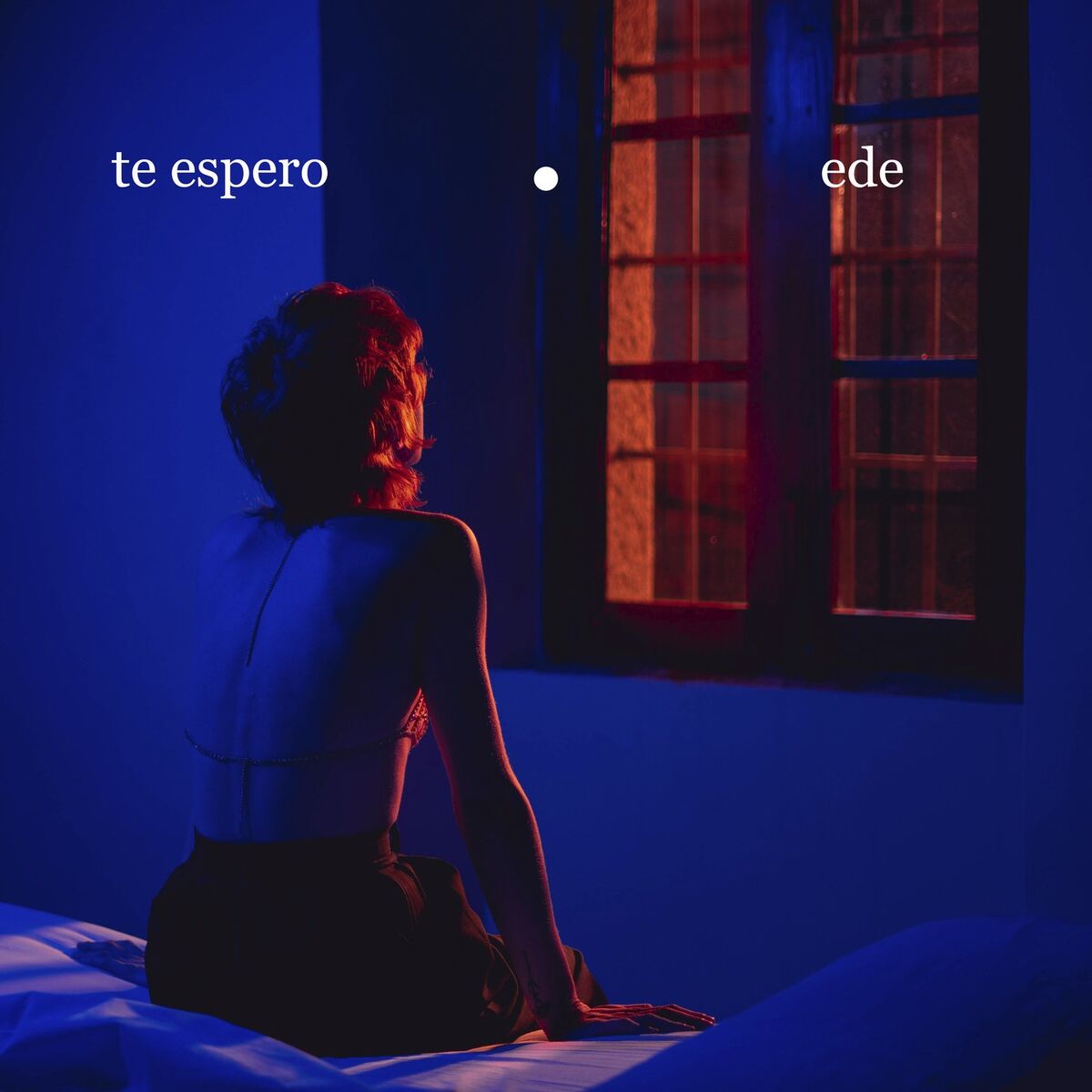 Album cover of Te espero