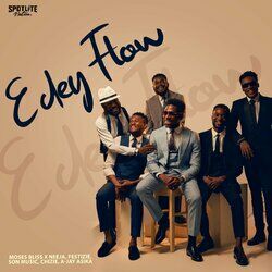 Cover of E Dey Flow