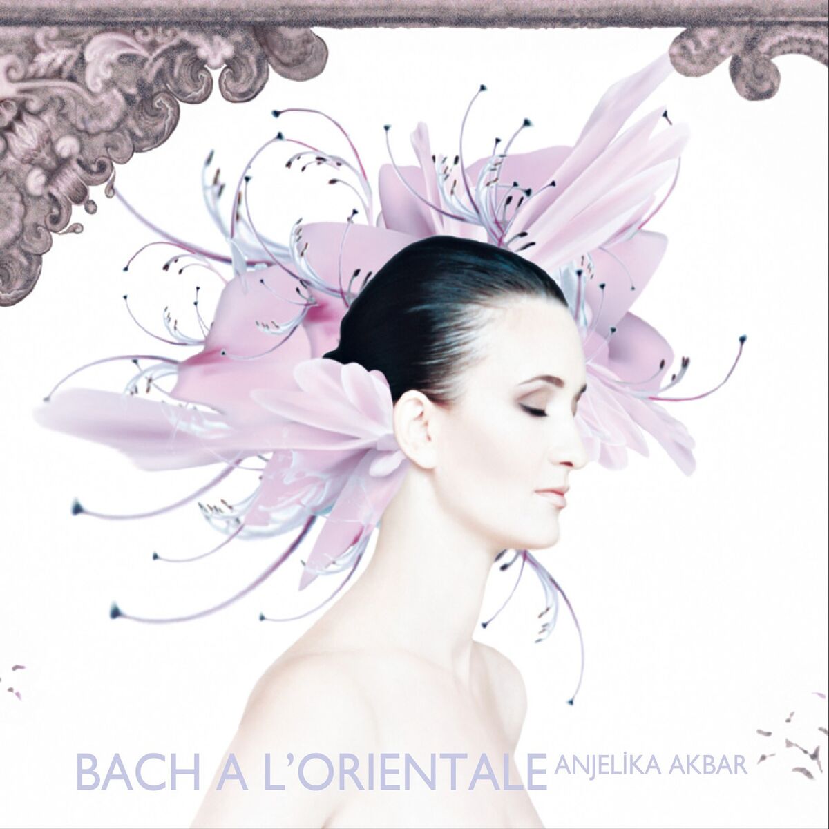Album cover of Orchid 1