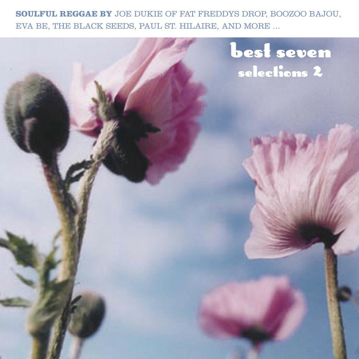 Album cover of The Answer