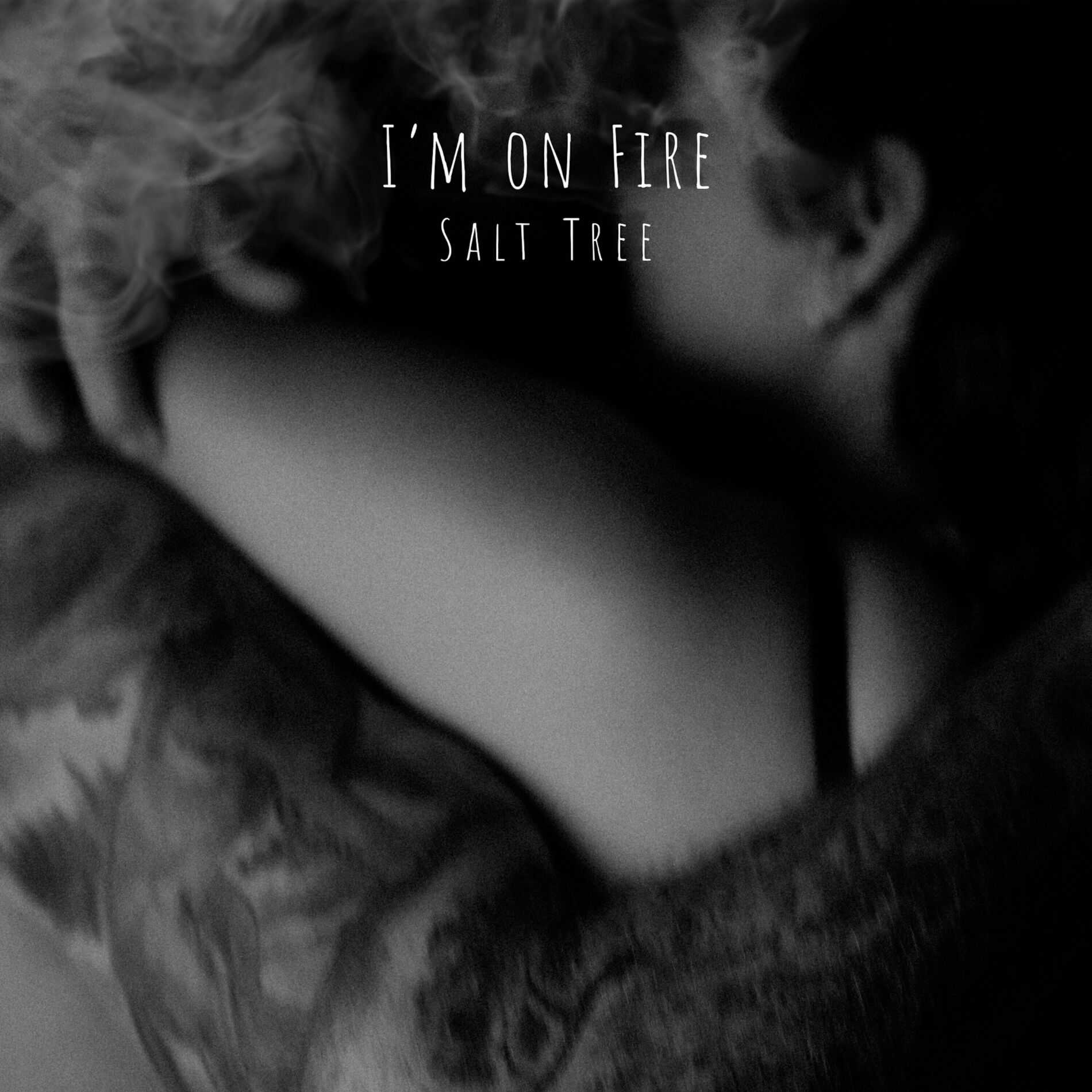 Album cover of I'm On Fire