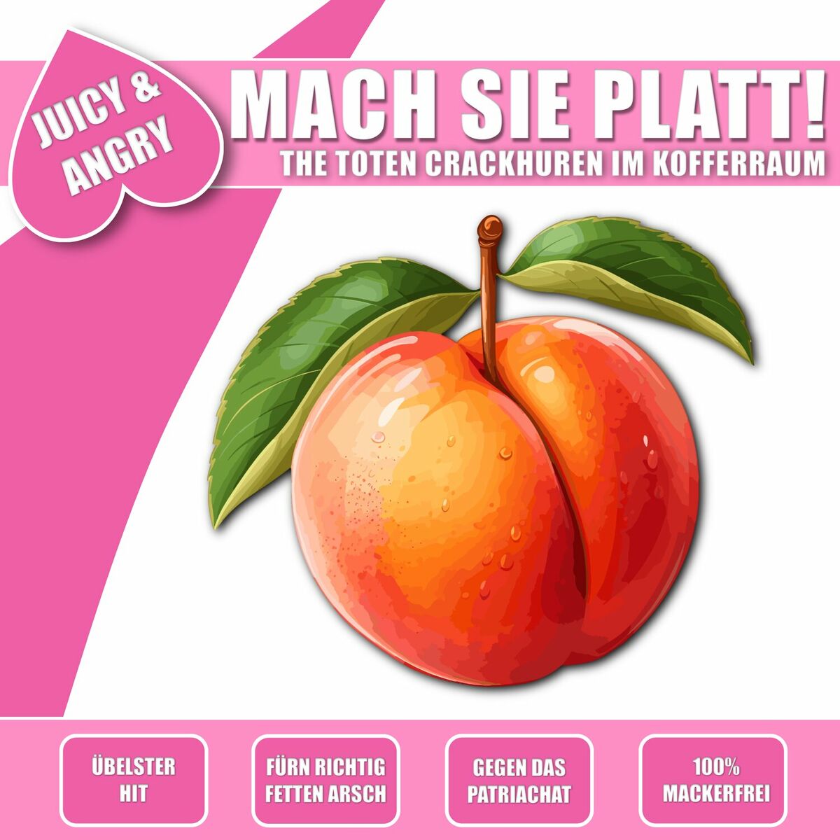 Album cover of Mach sie platt!