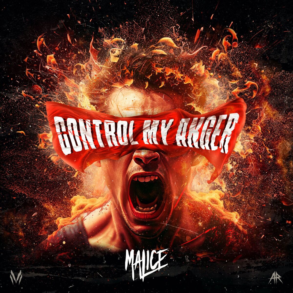 Album cover of CONTROL MY ANGER