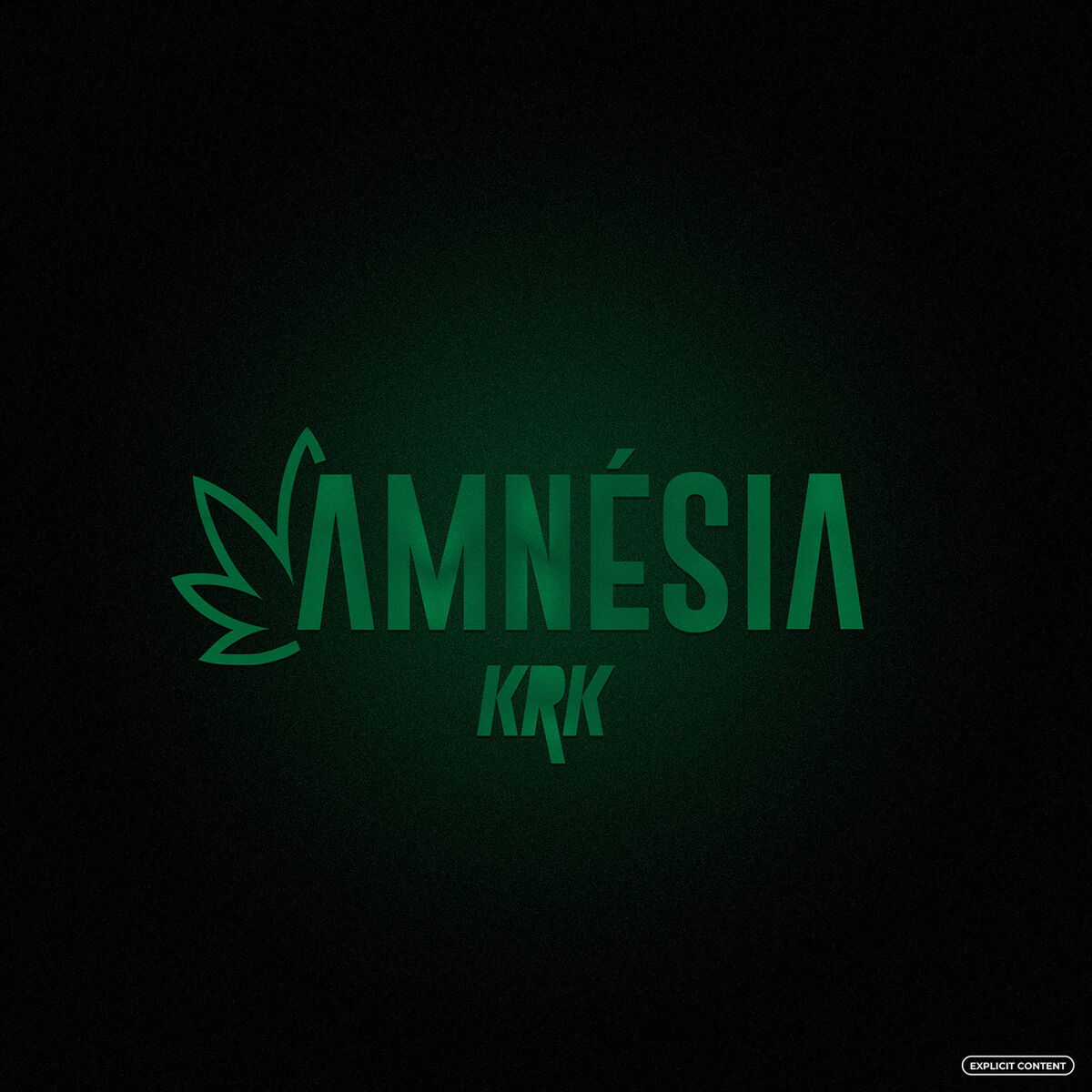 Album cover of Amnésia