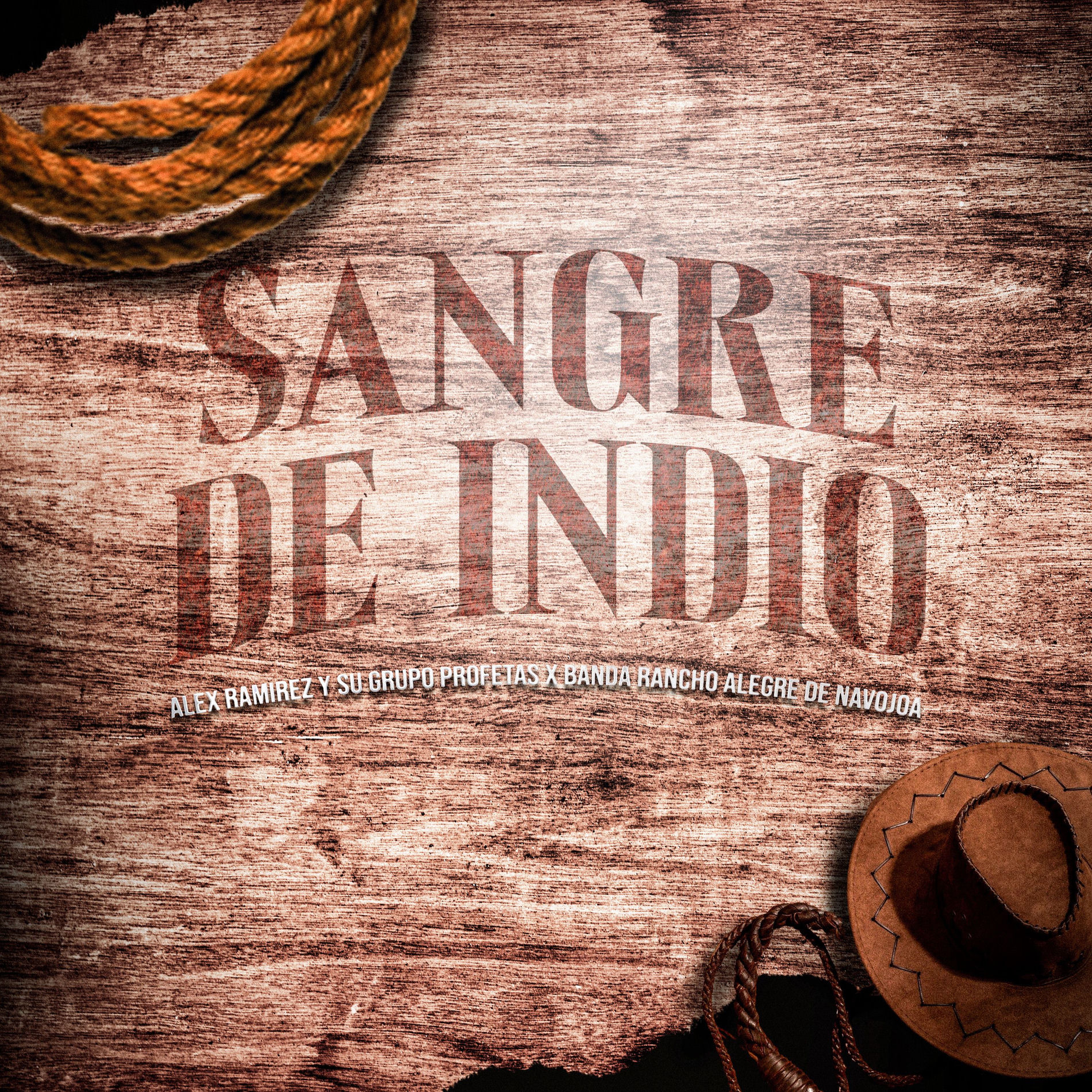 Album cover of Sangre De Indio