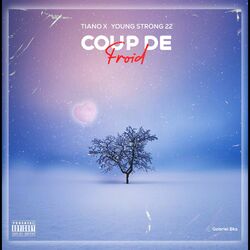 Cover of Coup de froid