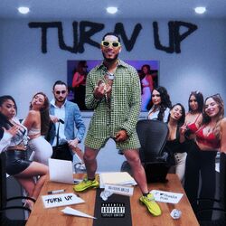 Cover of Turn up