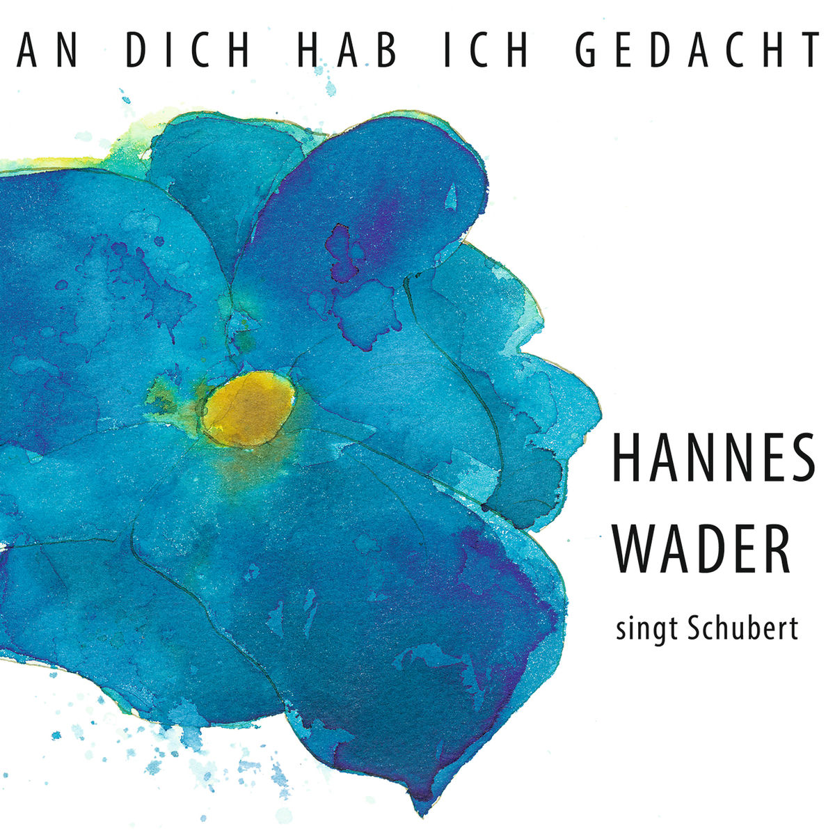 Album cover of An dich hab ich gedacht – Hannes Wader singt Schubert