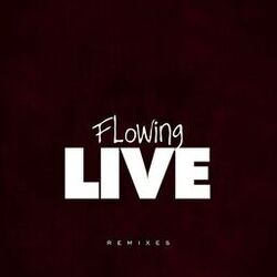 Cover of Flowing Live (Remixes)