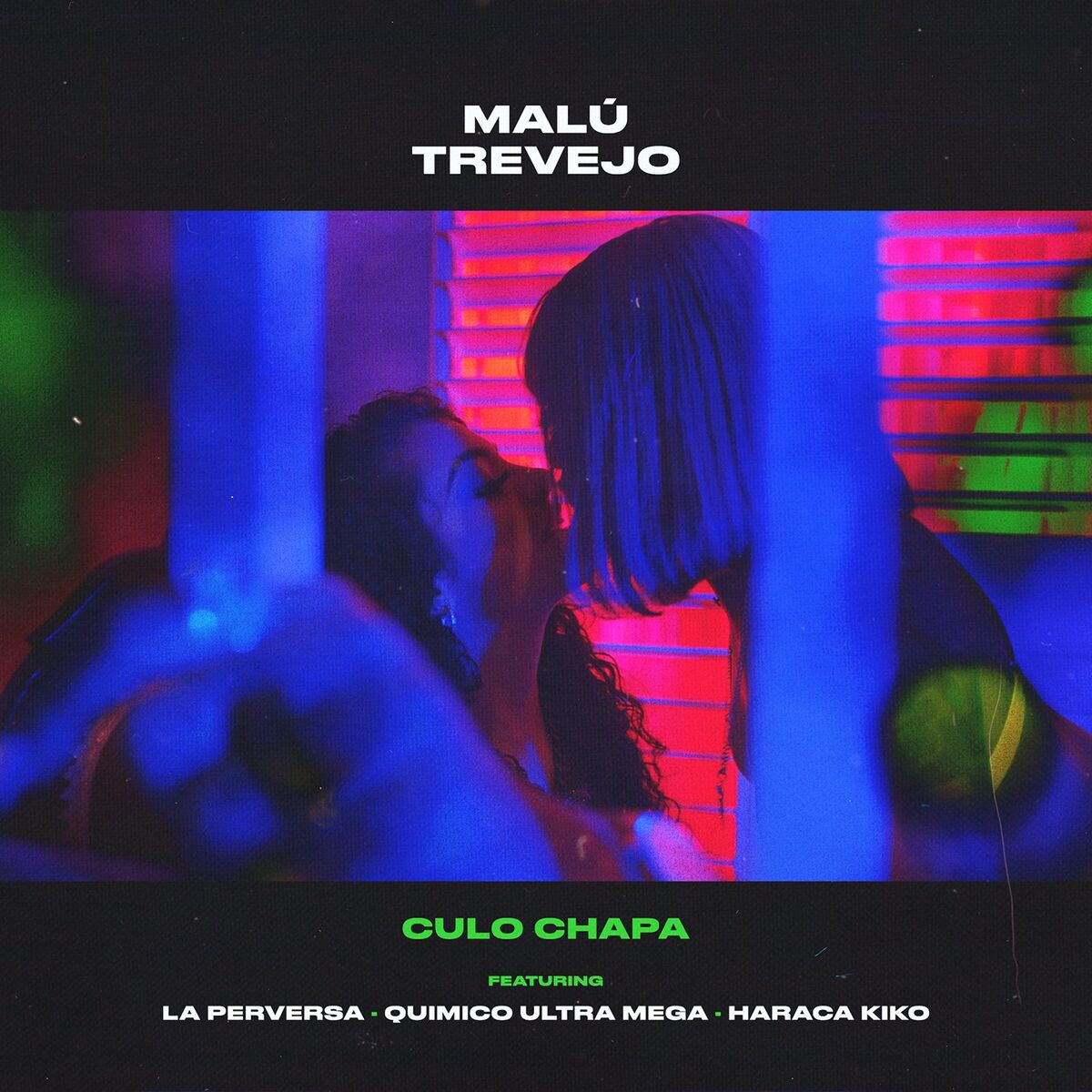 Album cover of Culo Chapa (feat. La Perversa, Quimico Ultra Mega & Haraca Kiko)