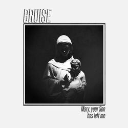 Cover of Mary, Your Son Has Left Me