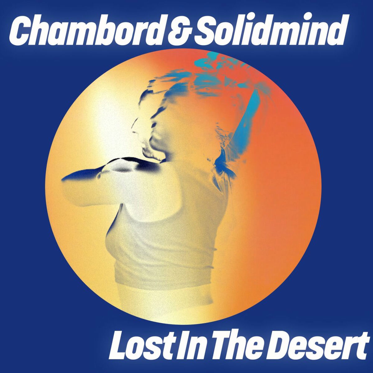 Album cover of Lost In The Desert