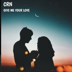 Cover of Give Me Your Love