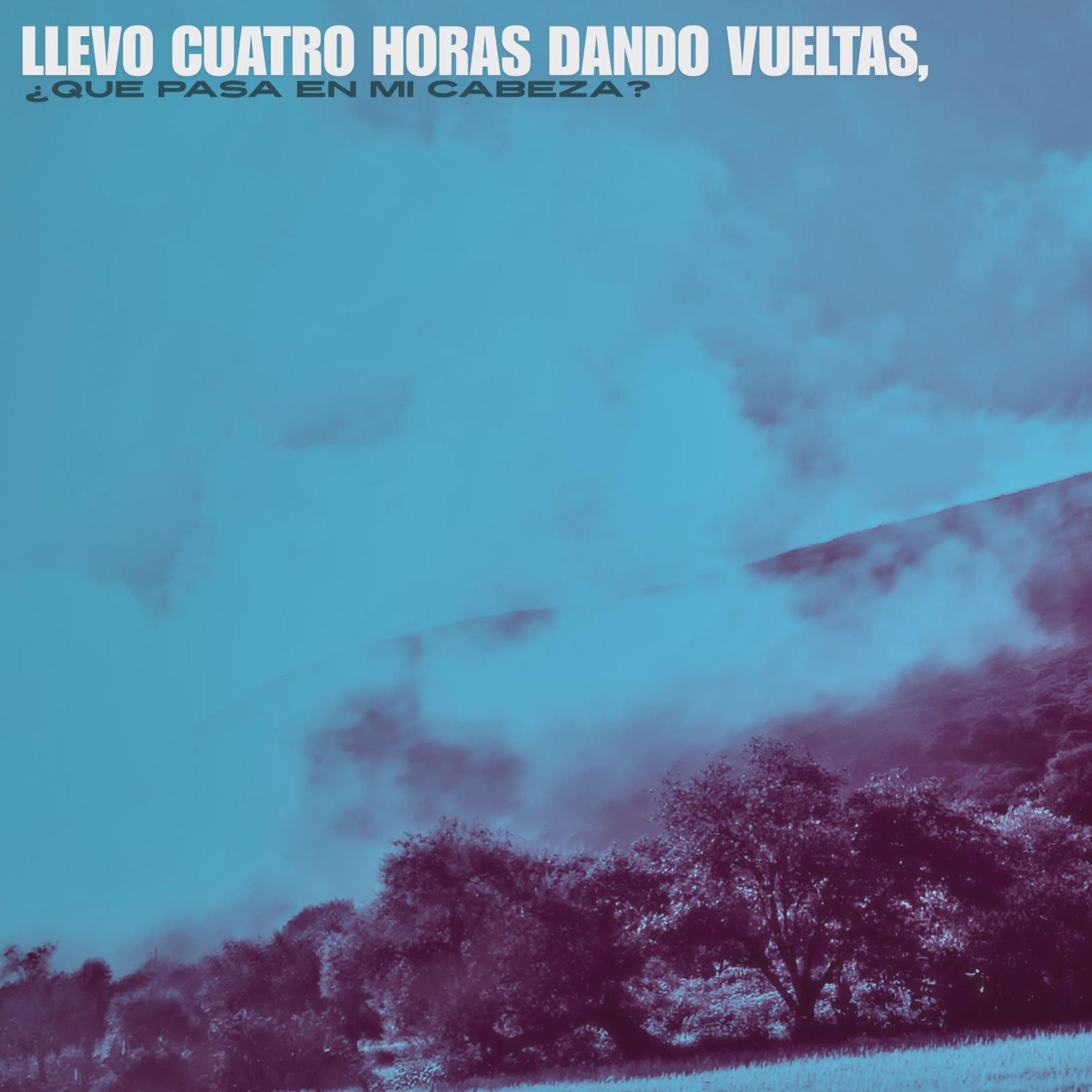 Album cover of Llevo Cuatro Horas Dando Vueltas, ¿Qué Pasa en mi Cabeza?
