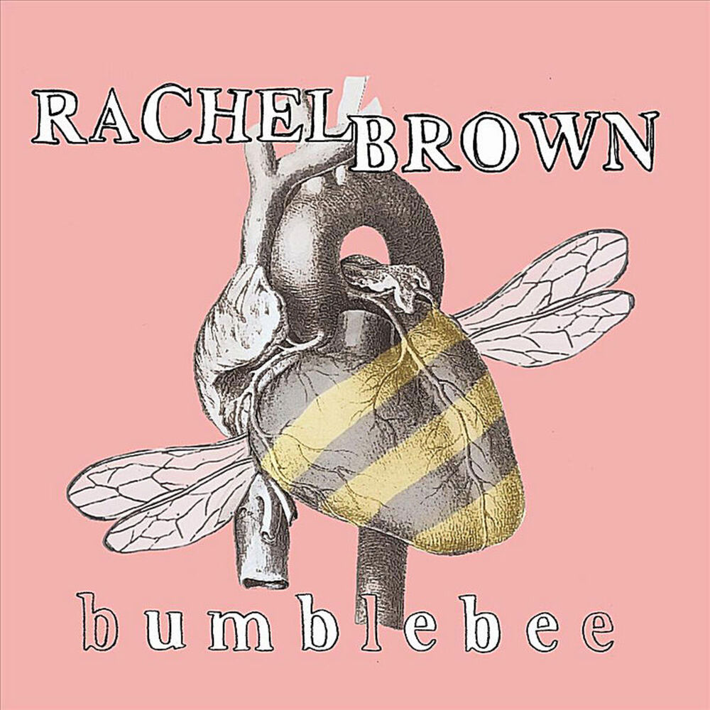 Picture of Bumblebee