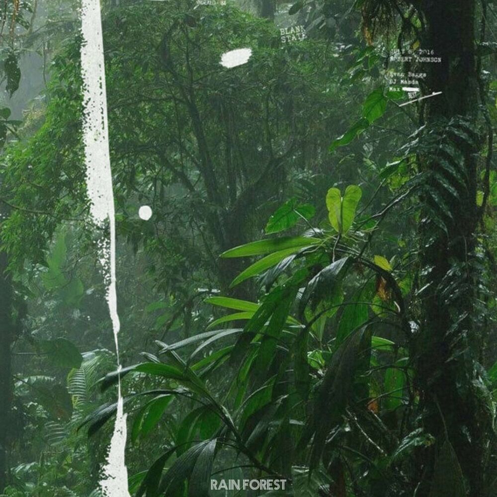 Picture of Rain Forest