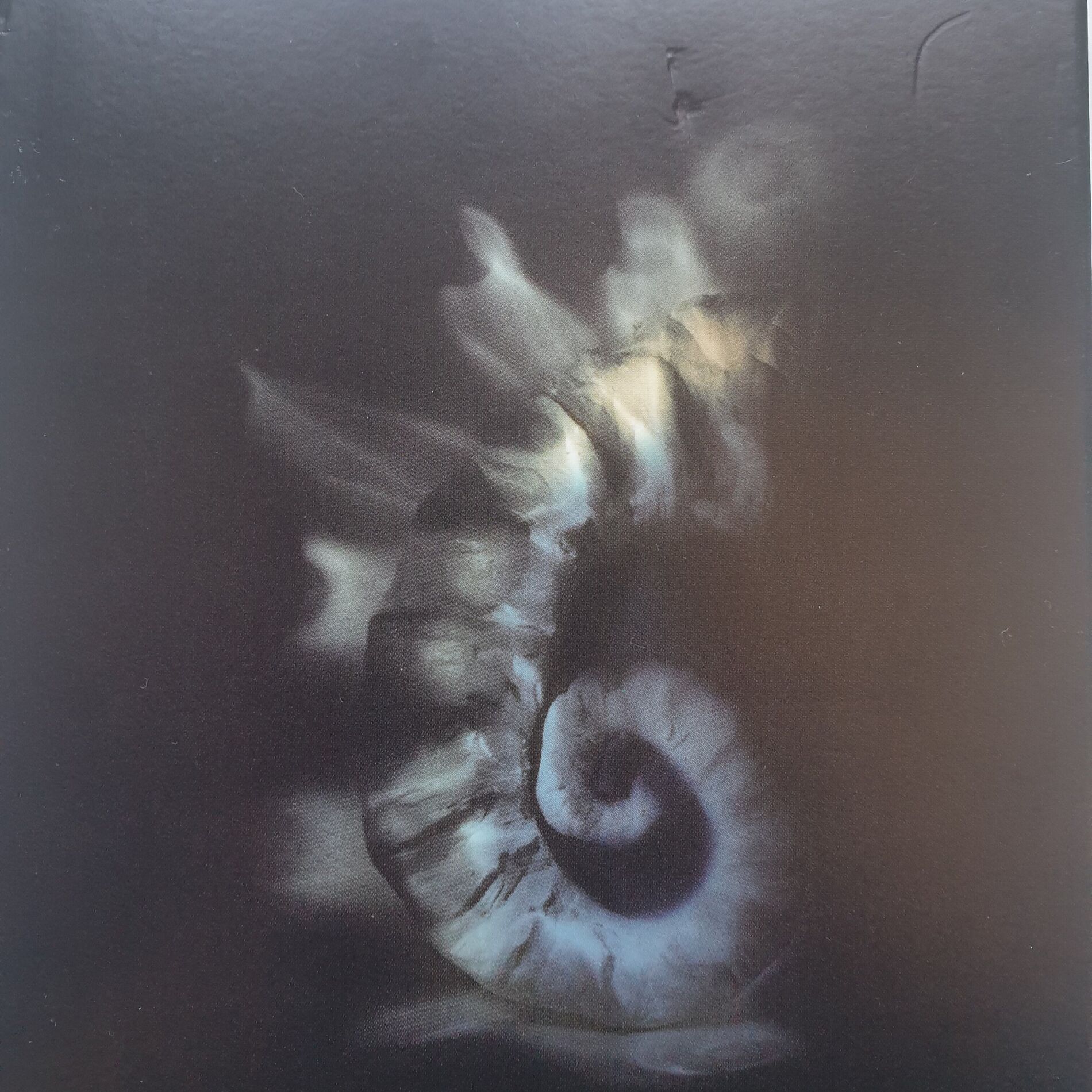 Album cover of Camaleón de Papel
