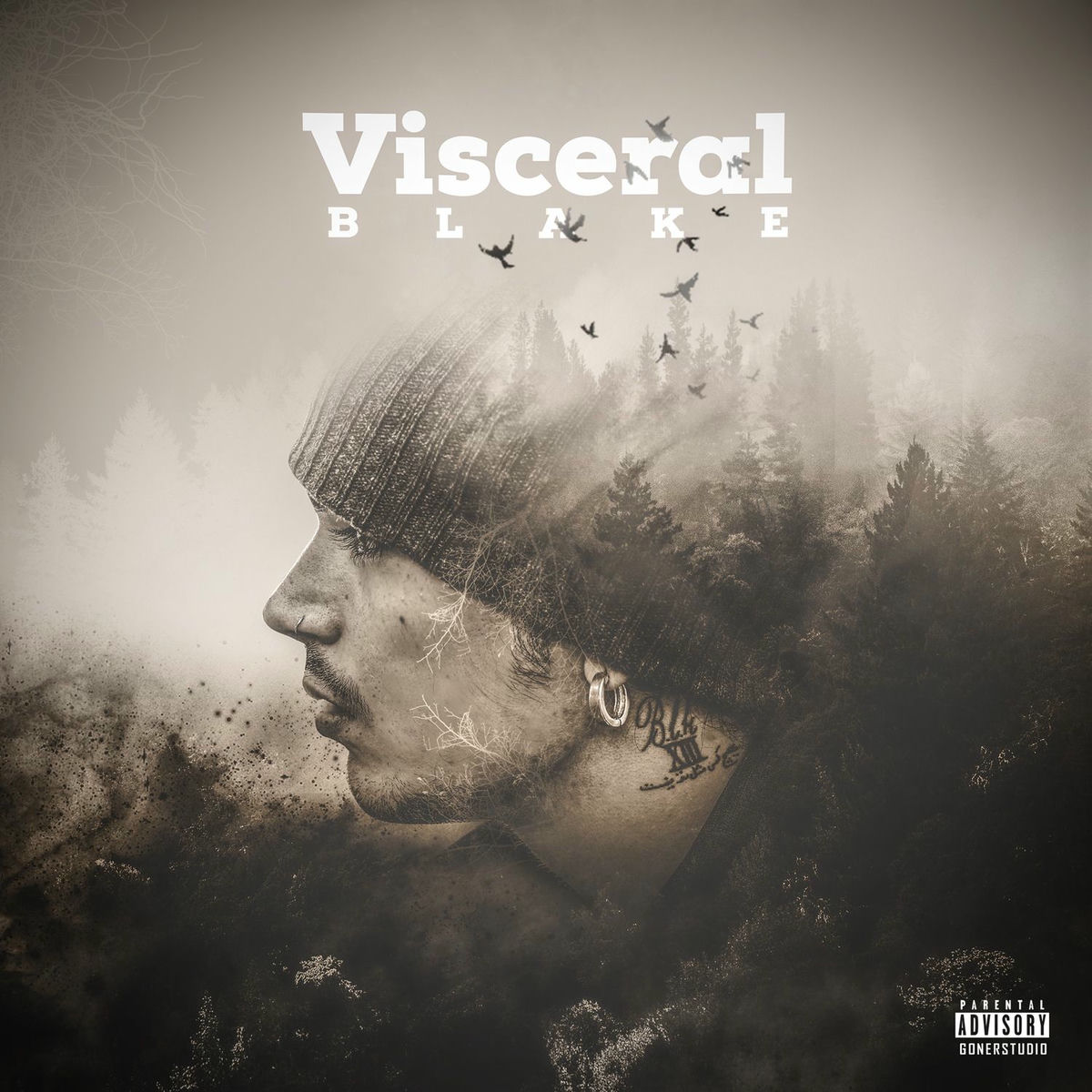 Album cover of Visceral
