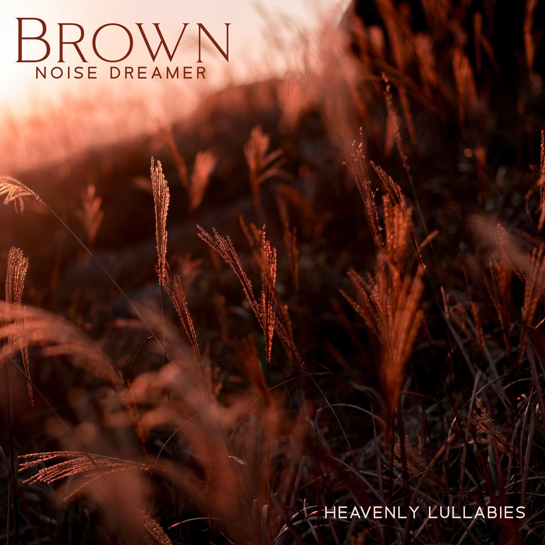Album cover of Brown Noise Dreamer: Heavenly Lullabies