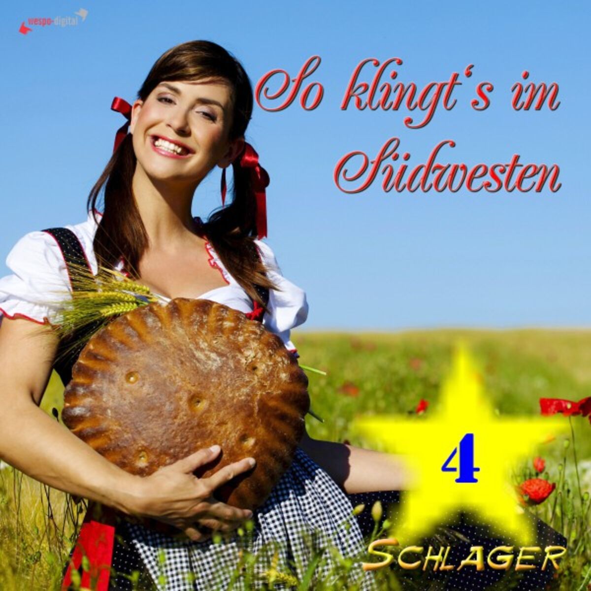 Album cover of So klingt's im Südwesten (4)