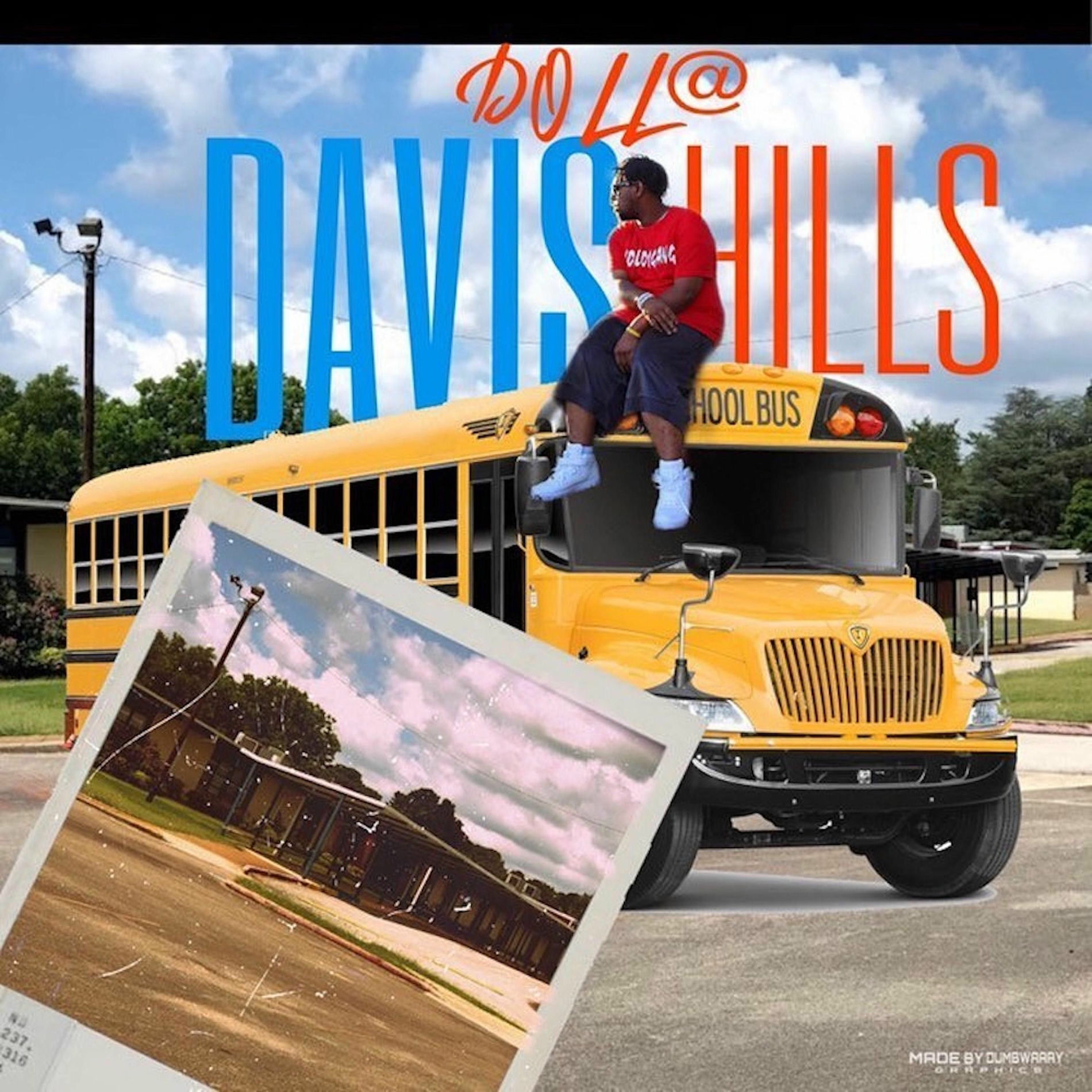 Album cover of Davis Hills