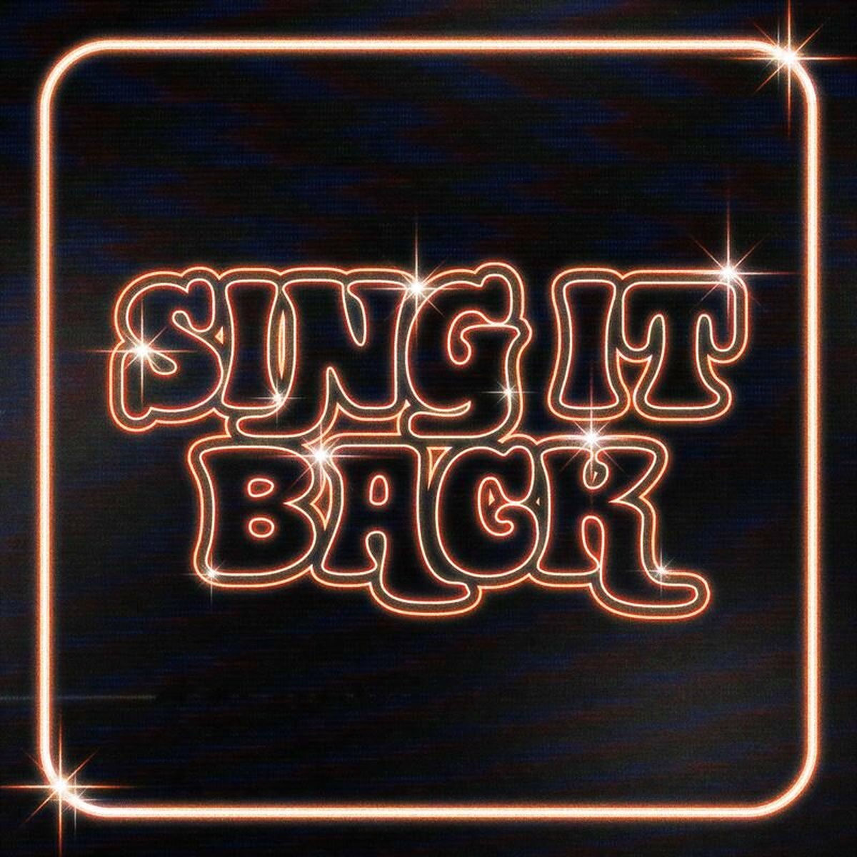 Album cover of Sing It Back