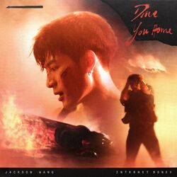 Cover of Drive You Home