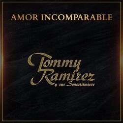 Cover of Amor Incomparable