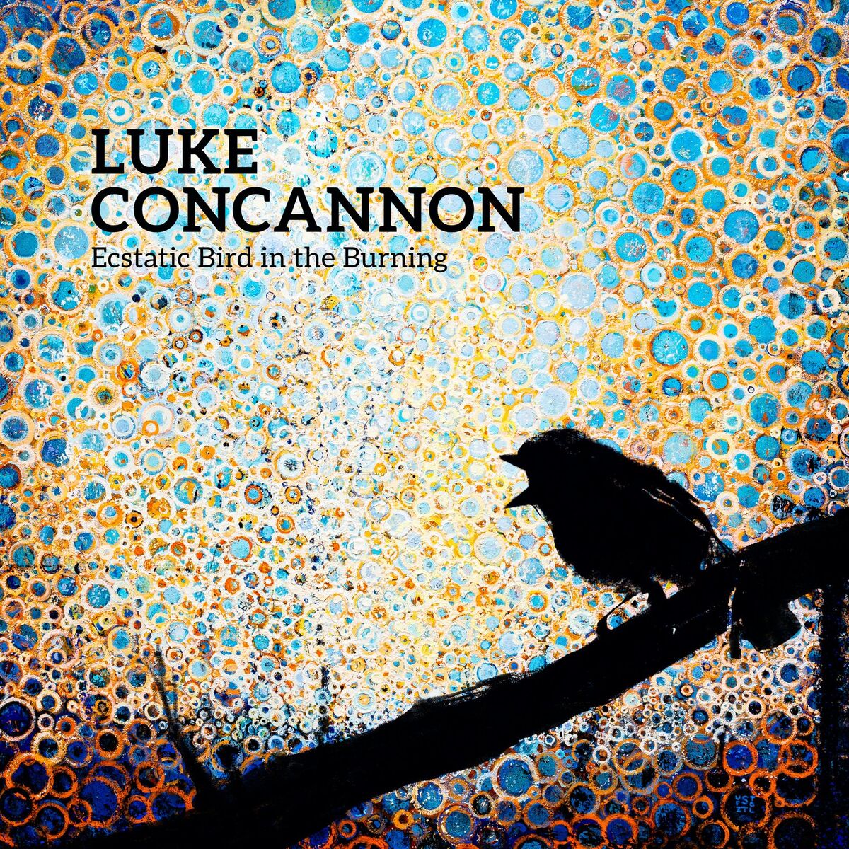 Album cover of Ecstatic Bird in the Burning (US Version)