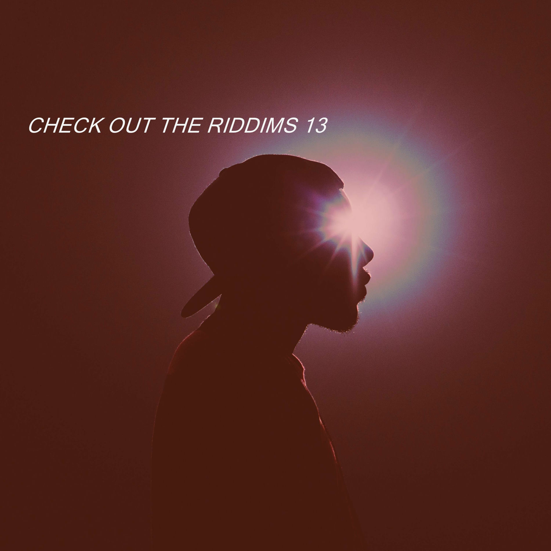 Album cover of CHECK OUT THE RIDDIMS 13