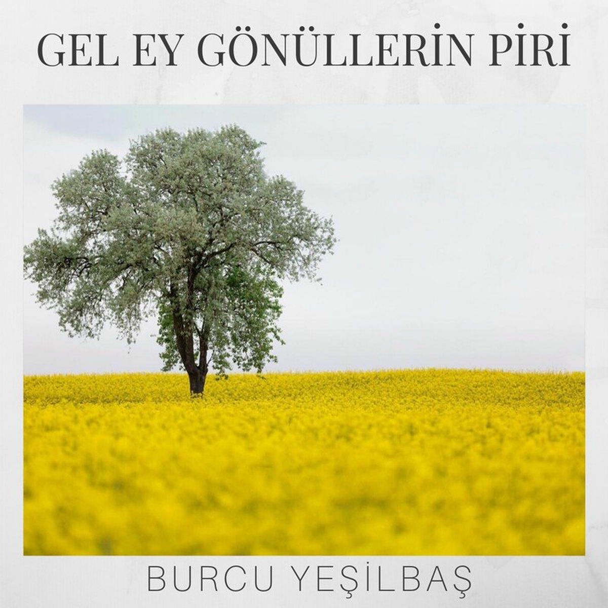 Album cover of Gel Ey Gönüllerin Piri