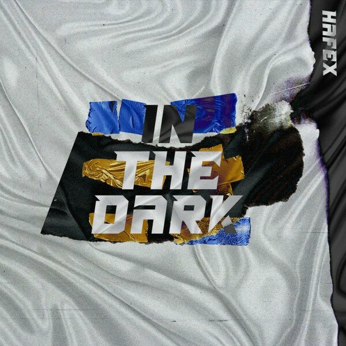 Album cover of In the Dark