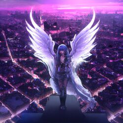 Cover of fkk love
