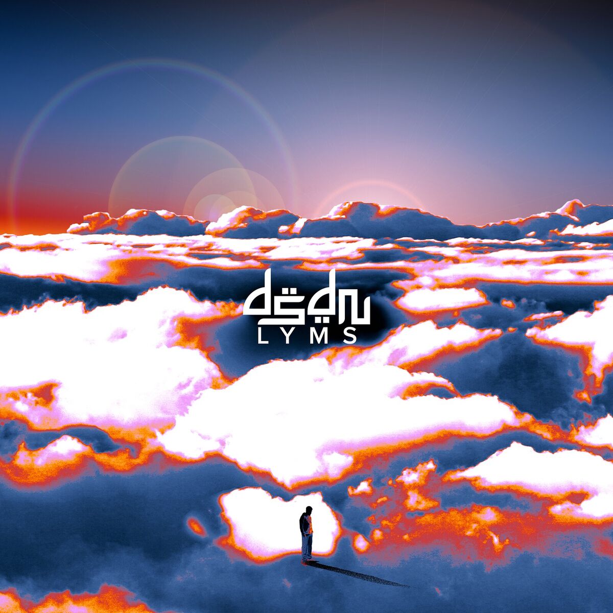 Album cover of DSDN